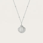 Elyndra | Seashell Pearl