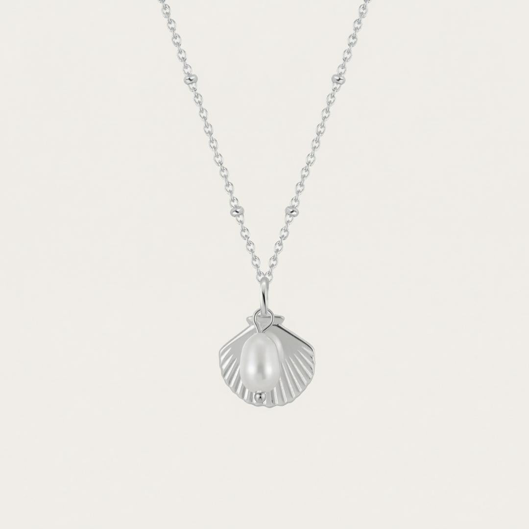 Elyndra | Seashell Pearl