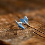 Aelyra | Carezza del Mare - immagine 6